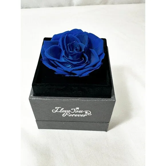 Holiday Romantic Angel Rose Dome Gift Set Blue Rose Necklace Surprise Box - Picture 4 of 6